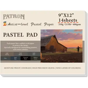(14 Sheets) PATRON Pastel Paper Pad for Artists, Assorted Colors, 9x12 inches, (215lb/400gsm) 14 Sheets, Art Drawing Paper for Adults and Students,Glue Bound