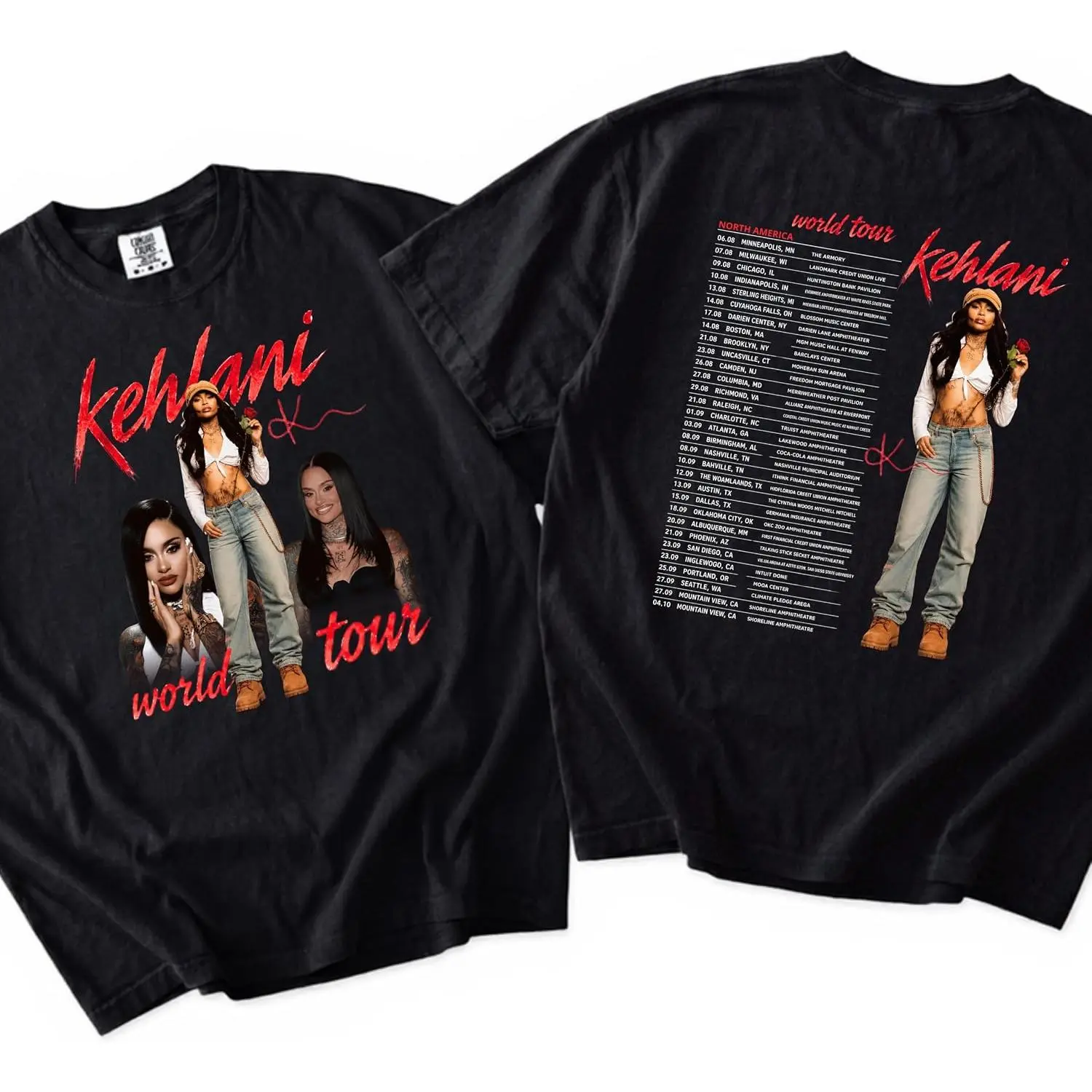 World R&B Concert Tour Inspired Graphic T-Shirt for Music Fans| Streetwear Tee| Unisex Soft Cotton Casual Shirt Multiple Colors
