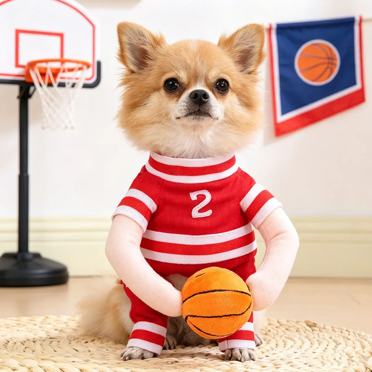 Basketball Dog Costume, Fun Role-Play for Small Dogs, Party Photography Pet Clothes, Handheld Basketball Theme
