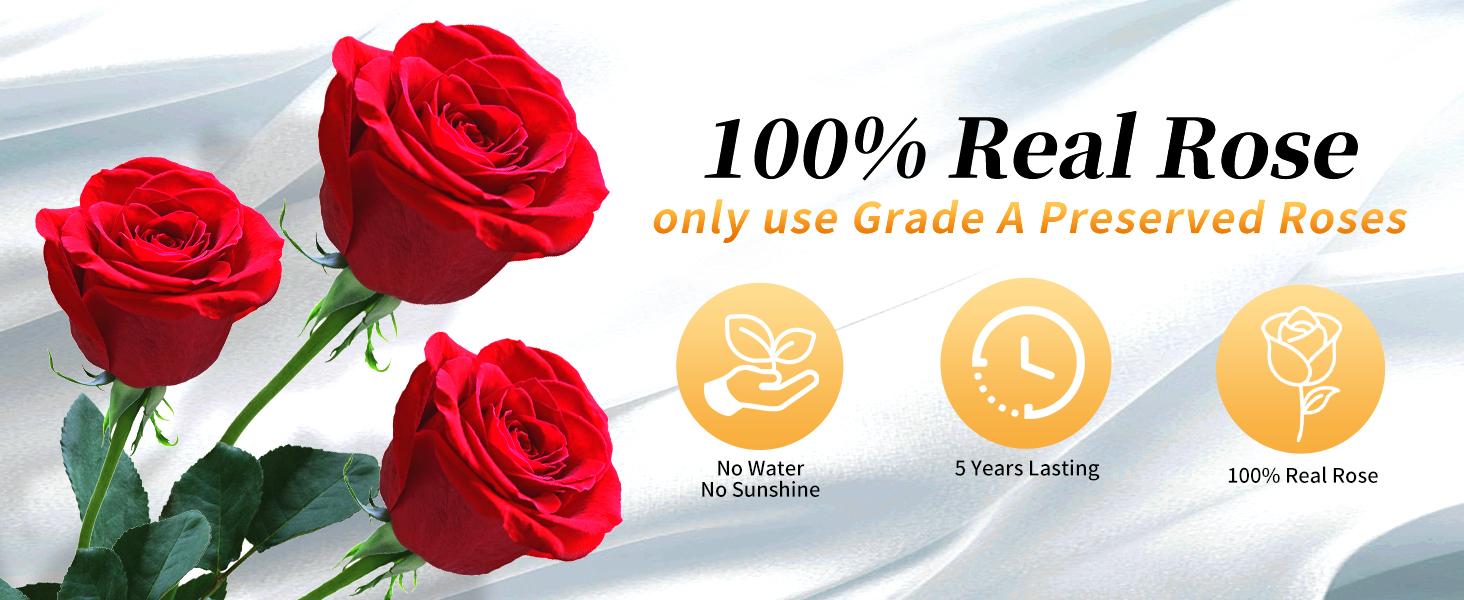 Single Forever Roses Luxury Gift for Women/Men, Fresh Flowers Bouquet for Girlfriend, Wife, Mom, Anniversary, Valentine's Day, Wedding, Graduation, Christm