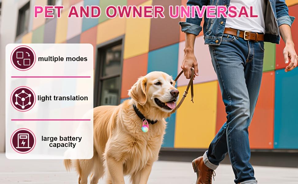 USB Charging Pet Pendant Suitable for Nighttime Walking and Pet Safety Lights Walking Light Attached to a Glowing Collar Worn by a Dog