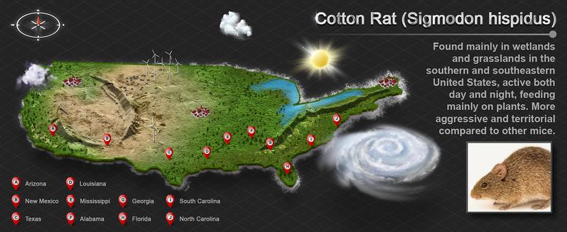 Humane Trap Live Mouse Trap Indoor Catch and Release Animal Cage Multi Large Bait Outdoor Reusable Chipmunk Mice Voles Rodent That Work (1)