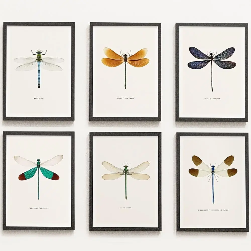 6pcs/set Dragonfly Specimen Canvas Posters Suitable for Kids Room Decor - Vertical Wall Charts, Modern Art Prints with Dragonfly & Suitable for Bedroom, Above Bed Wall Decor, Educational Gifts for Teen And, Frameless, Wall Decoration