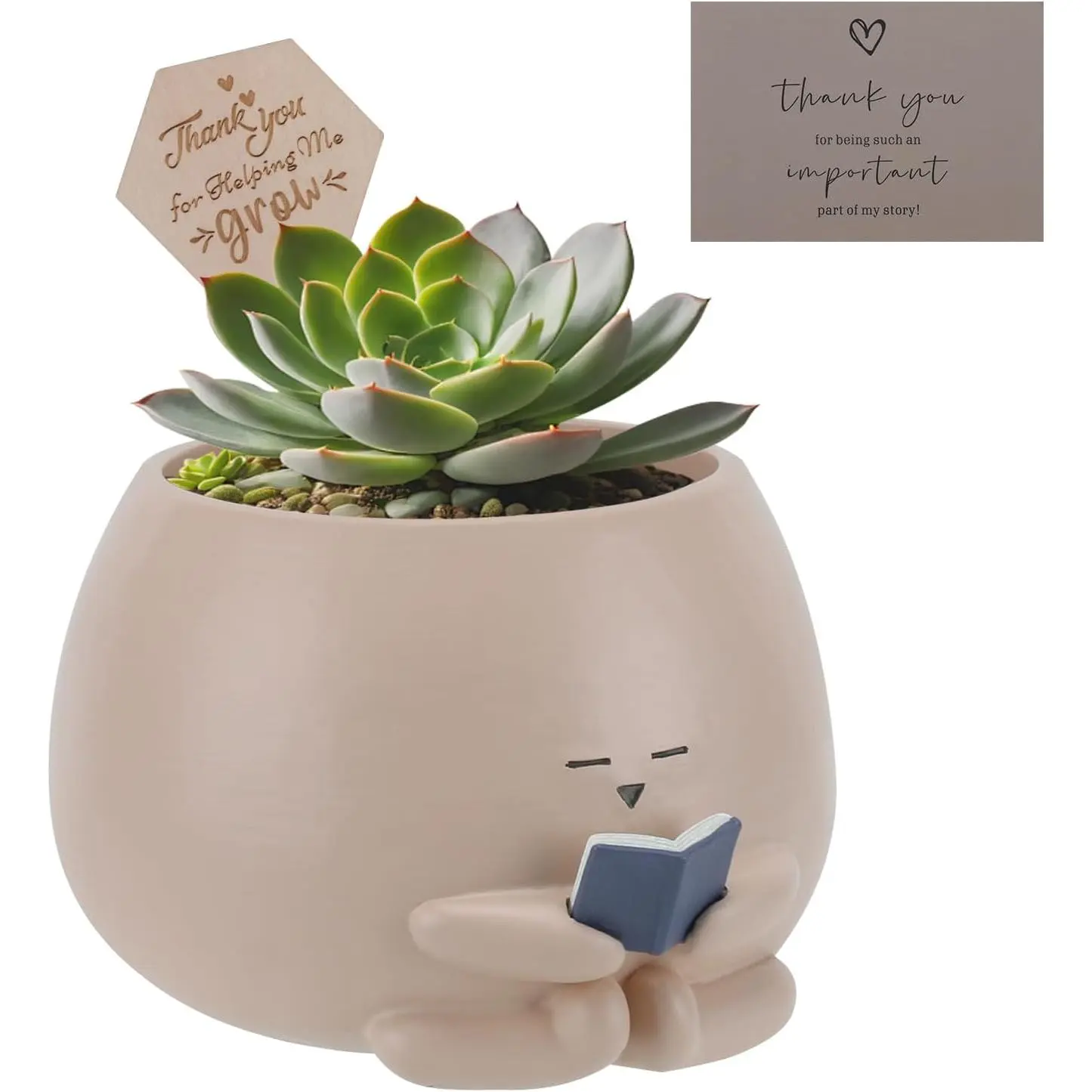 Bookworm Planter Pot - Cute  Pots for  with Thank You Sign & Card, Small Reading Planter for Indoor Outdoor Decor, Succulent Gifts for Book Lovers, Teacher Dad Mom Appreciation