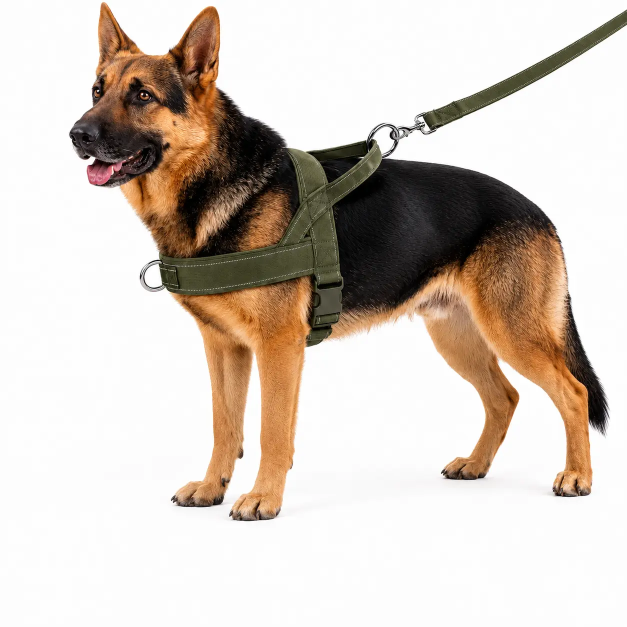 Dog Harness - Easy-to-Fit No-Pull Design, Safe and Comfortable, Chafe-Resistant Adjustable Straps, Dual Leash Rings for Small Medium Large Dogs