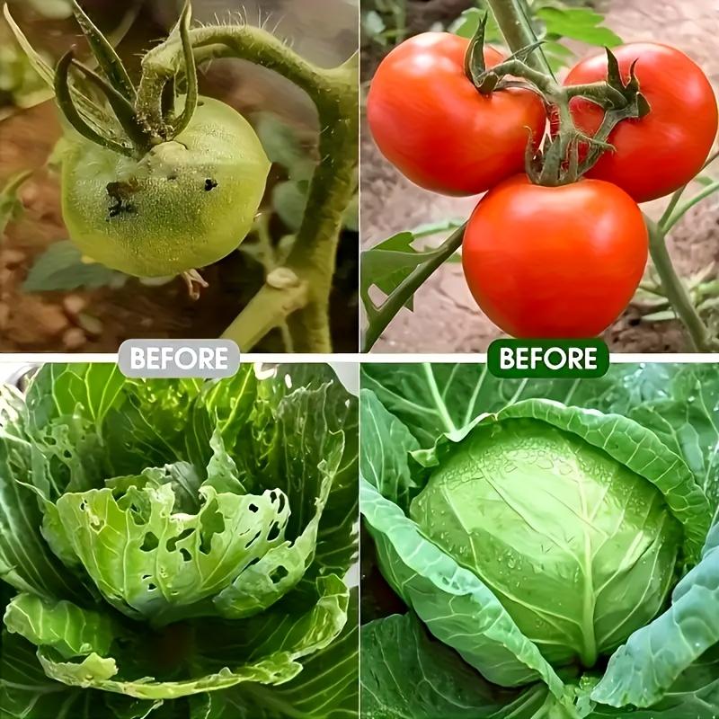 Foldable plant protection tent (with insect-proof net) - arch-shaped greenhouse structure, made of lightweight plastic and fiber rods, easy to assemble, suitable for seedling cultivation, garden and balcony use. Specialized for outdoor plant protection