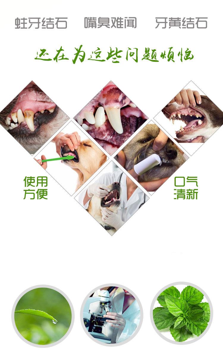 Dog toothpaste, toothbrush, non-irritating, protects teeth, scented fragrance, prevents tooth decay