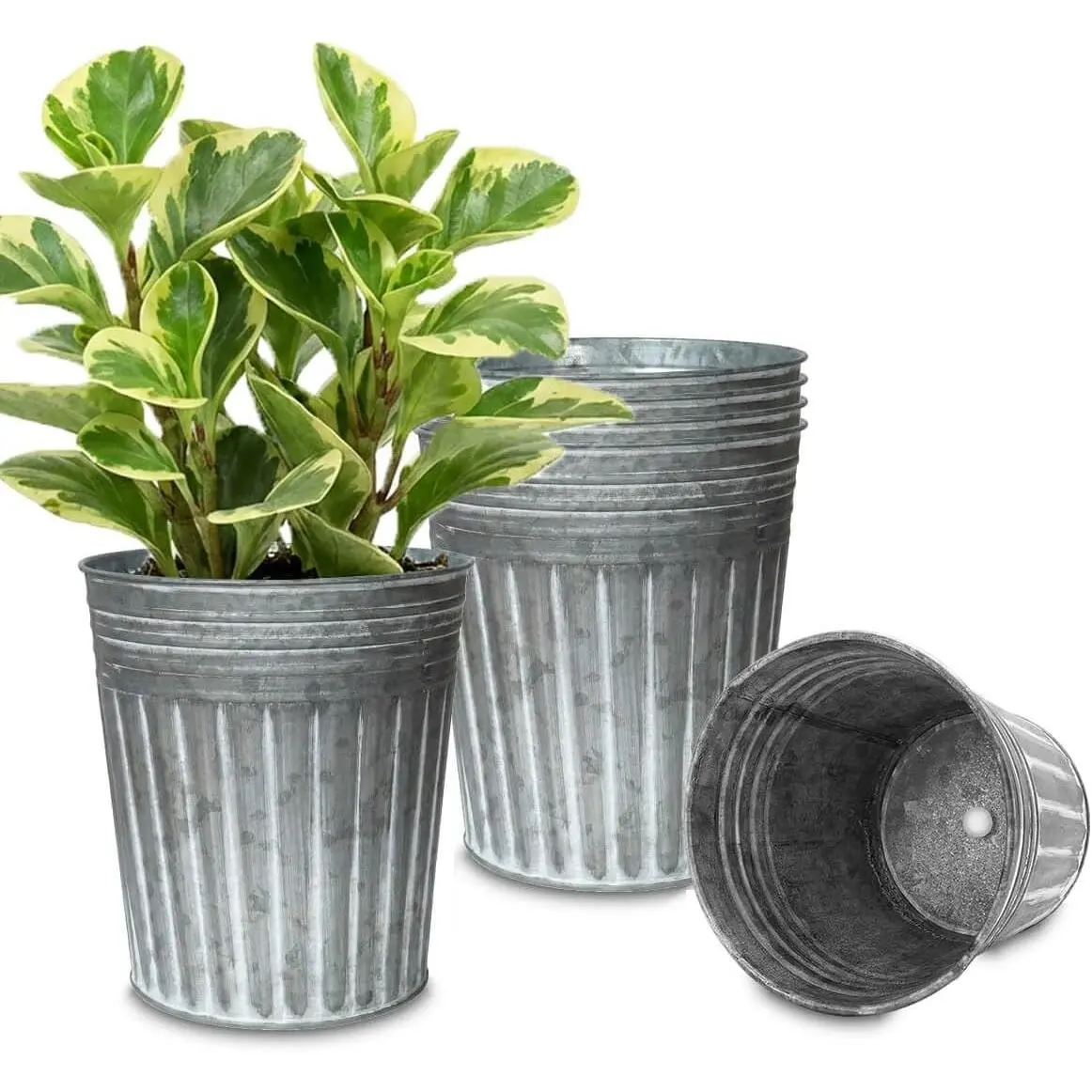 7 Inch Galvanized Bucket Planter - 6 Pack Metal Flower Pots with Drainage Holes & Plugs, Rustic Silver Tin Pots for Indoor Herbs, Outdoor Succulents, Farmhouse Home Garden Decor