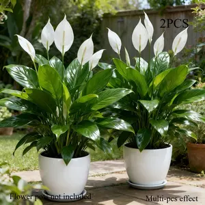 2 Large Realistic Artificial Plants Suitable for Home Wedding Decor - Low-Maintenance Plastic Fake Flowers with White Blooms & Green Foliage, /Outdoor Decoration for seasons,Father's Day Centerpieces, Year-Round Use for Home or Hotel