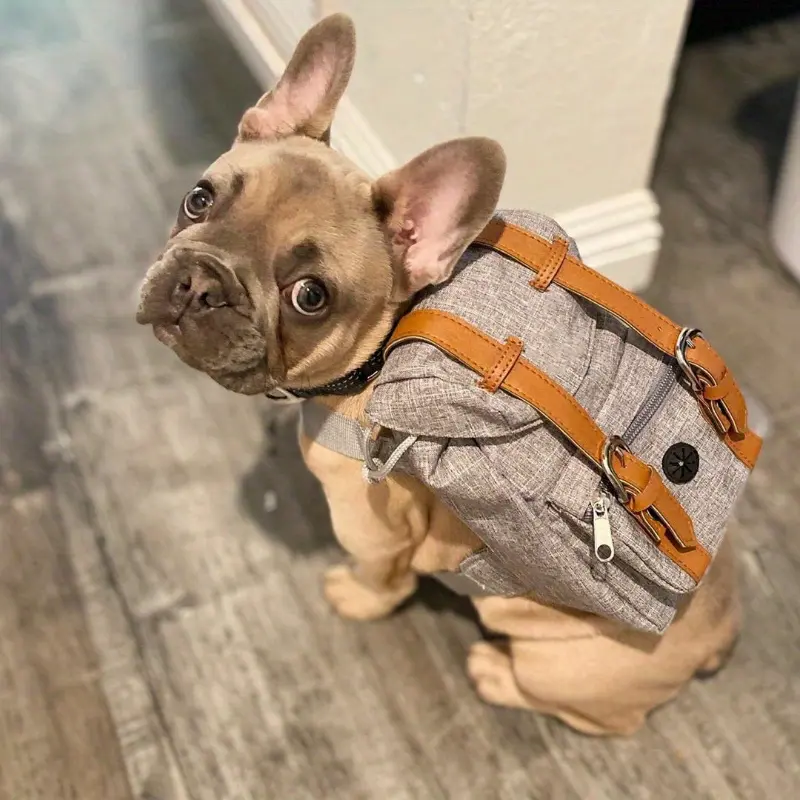 Halloween & Christmas Fabric Cloth Multifunctional Adjustable Pet Carrier Backpack with Safety Harness, for Small-Medium Dogs (Chest 17.72-25.59in), Portable for Travel & Daily Use
