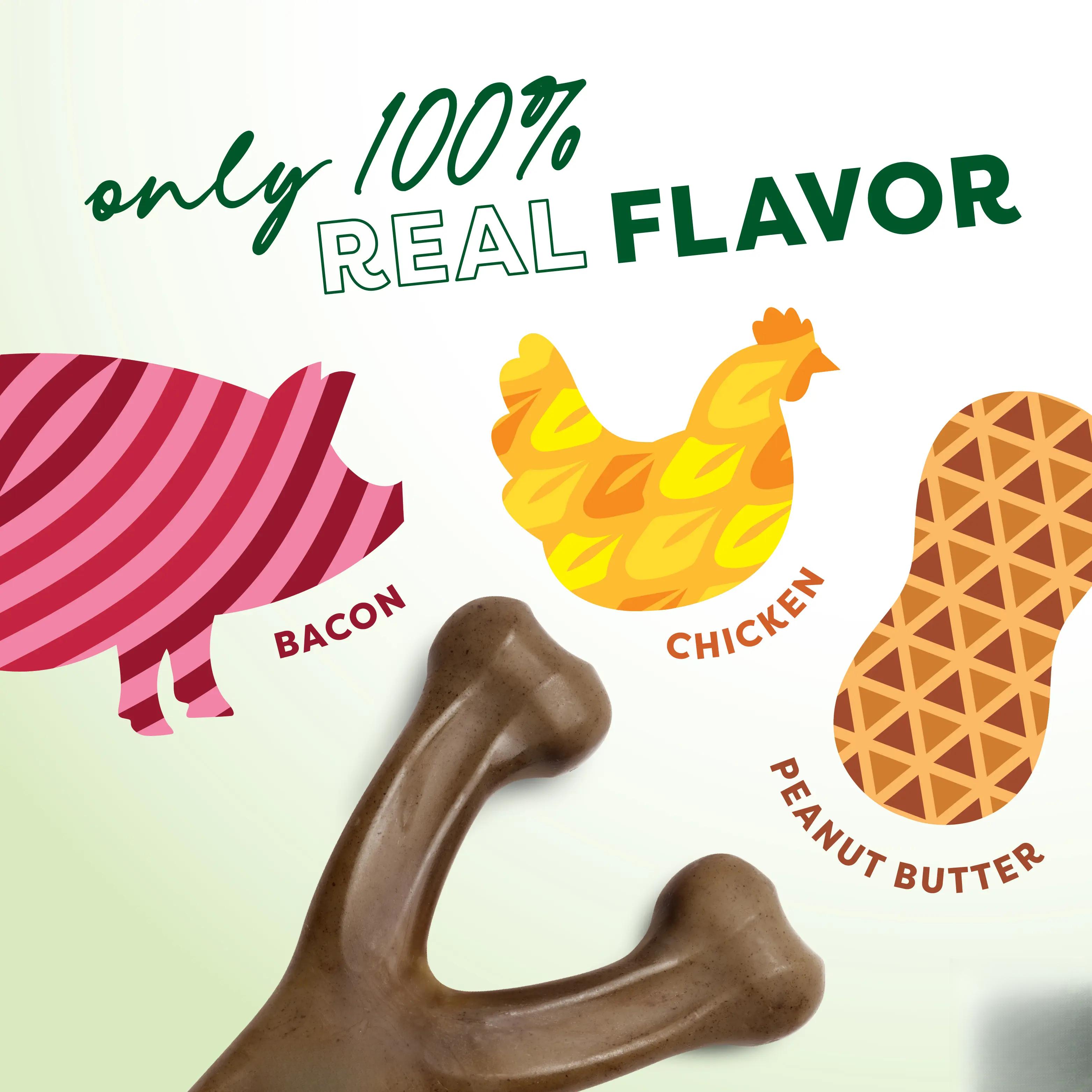 Wishbone |   Durable Dog Chew Toy |   Real Flavor & Long-Lasting Play