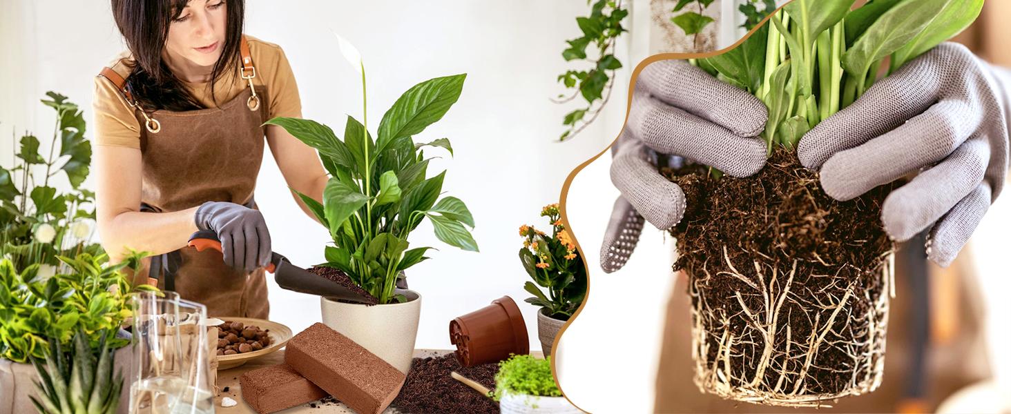 6pcs Organic Coco Coir Bricks Soil Blocks- 100% Natural Compressed Coco Peat Brick Fiber Substrate with Low EC& pH, High Expansion Coco Coir Pith Husk for