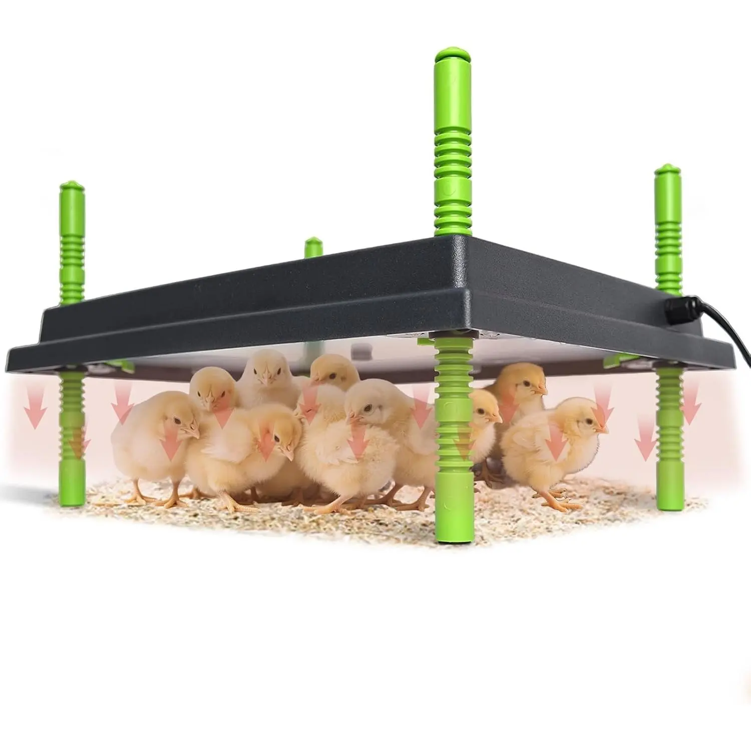 Rectangular Chick Brooder Heater Plate with Adjustable Rods & Temperature Ctrl - 12in/16in for 40 Baby Chicks/Ducks, Ensures Warmth Safety (Farm & Poultry Pet Supplies Accessory)