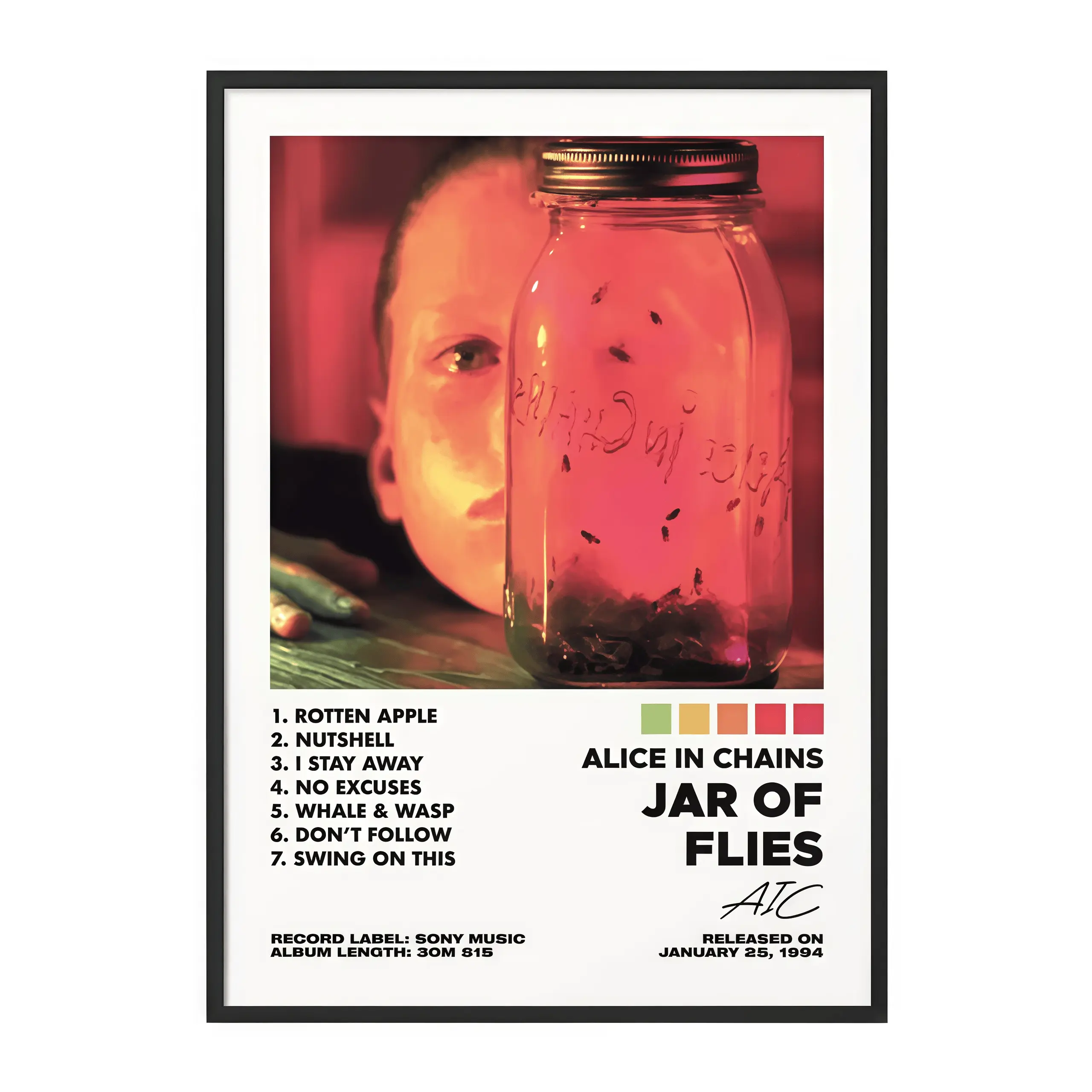 Alice In Chains Jar Of Flies Album Cover Unframed Poster - Lightweight, Waterproof Artistic Print Design, Creative Home Wall Decor, Picture Image for Bedroom & Living Room, Inclusive Decor Box, Boho Music Gift, Bedroom Decor, Artwork