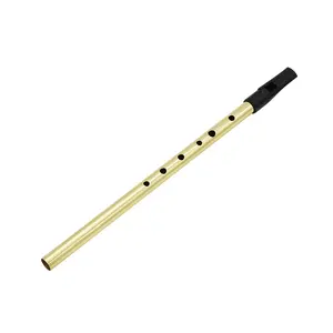 Irish Tin Whistle Key D, Brass Material, Bright Brass Wind Sound, Penny Whistle, Musical Instrument, Handmade Craftsmanship