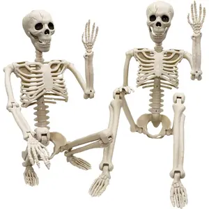 36"Halloween Skeleton - 3 ft Life Size Human Skeleton with Full Body Posable Joints Plastic Skeleton for Halloween Skeletons Decor Yard Patio Lawn Garden Skeleton Props Spooky Party Decoration