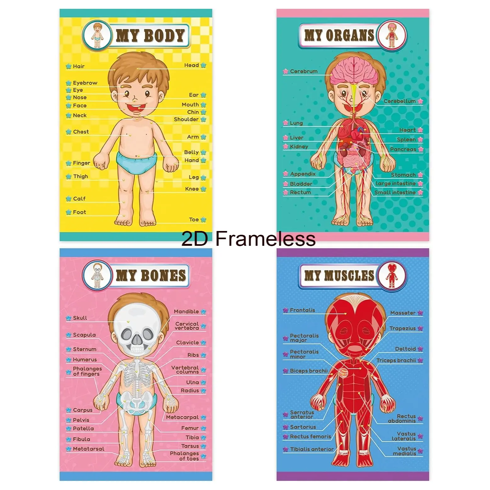 4-Piece Set  - Human Anatomy Educational Posters: Learning About Children’s Body Parts, Cartoon Anatomy Illustrations, Educational Posters, Preschool and Kindergarten Teaching Materials, Classroom Decor, Frameless Canvas Prints