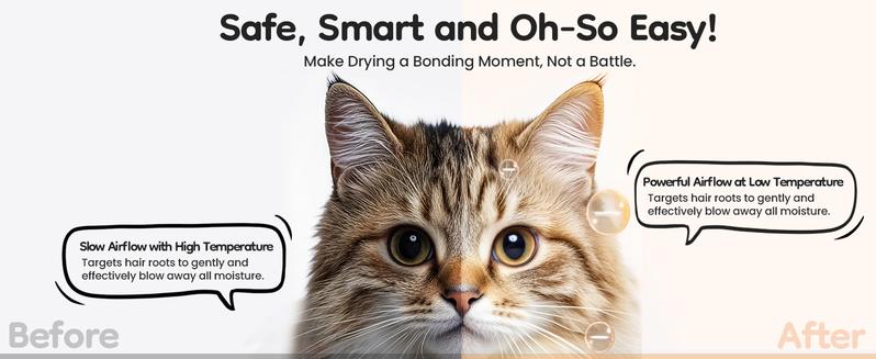 RoyalCraft Pet Dryer Box for Cats & Dogs – 65L Quiet Hair Drying Machine with Adjustable Temp, Blow Air Function – Portable Dog Dryer for Home Bathing, Pet Drying Kit