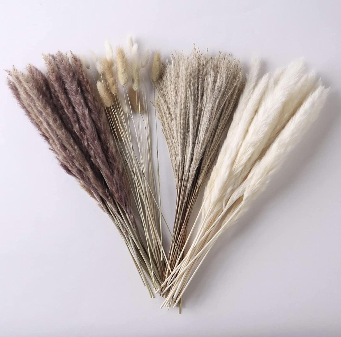 100 Pieces Of Bohemian Reed Grass, Naturally Dried Reed Grass, Wedding Decoration, Home Decoration, Bohemian Party Decoration, Table Decoration, Brown And White Color