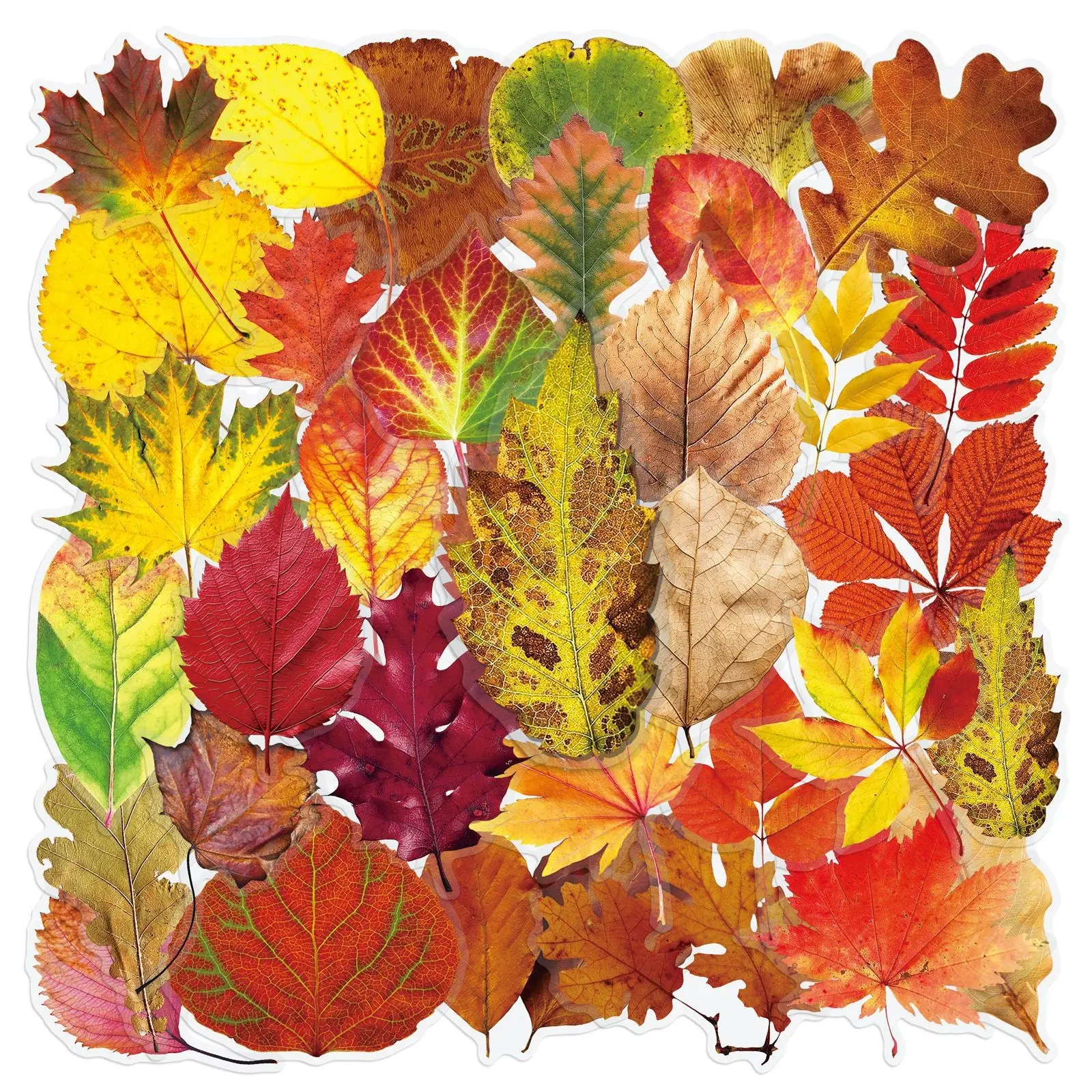 50Pcs Transparent Leaf Stickers, Realistic Plant Dead Tree Leaves, Waterproof Fall Decor, Water Cup Computer Stickers