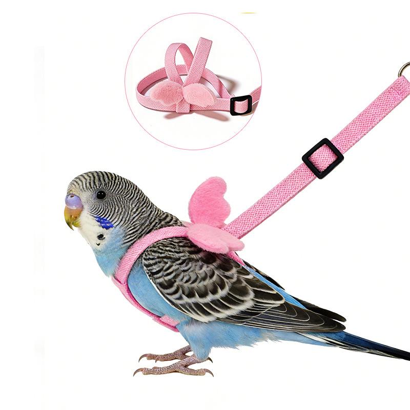 Parrot Flight Training Leash, Back Strap Wing Harness with Elastic Bungee Rope, Outdoor Walking Lead for Small Parrots, Escape-Proof Bird Leash for Budgie Cockatiel Lovebird Squirrel-proof Metal Feeding Station Cage Stand Parrot Flight Training Leash, Back Strap Wing Harness with Elastic Bungee Rope, Outdoor Walking Lead for Small Parrots, Escape-Proof Bird Leash for Budgie Cockatiel Lovebird Squirrel-proof Metal Feeding Station Cage Stand