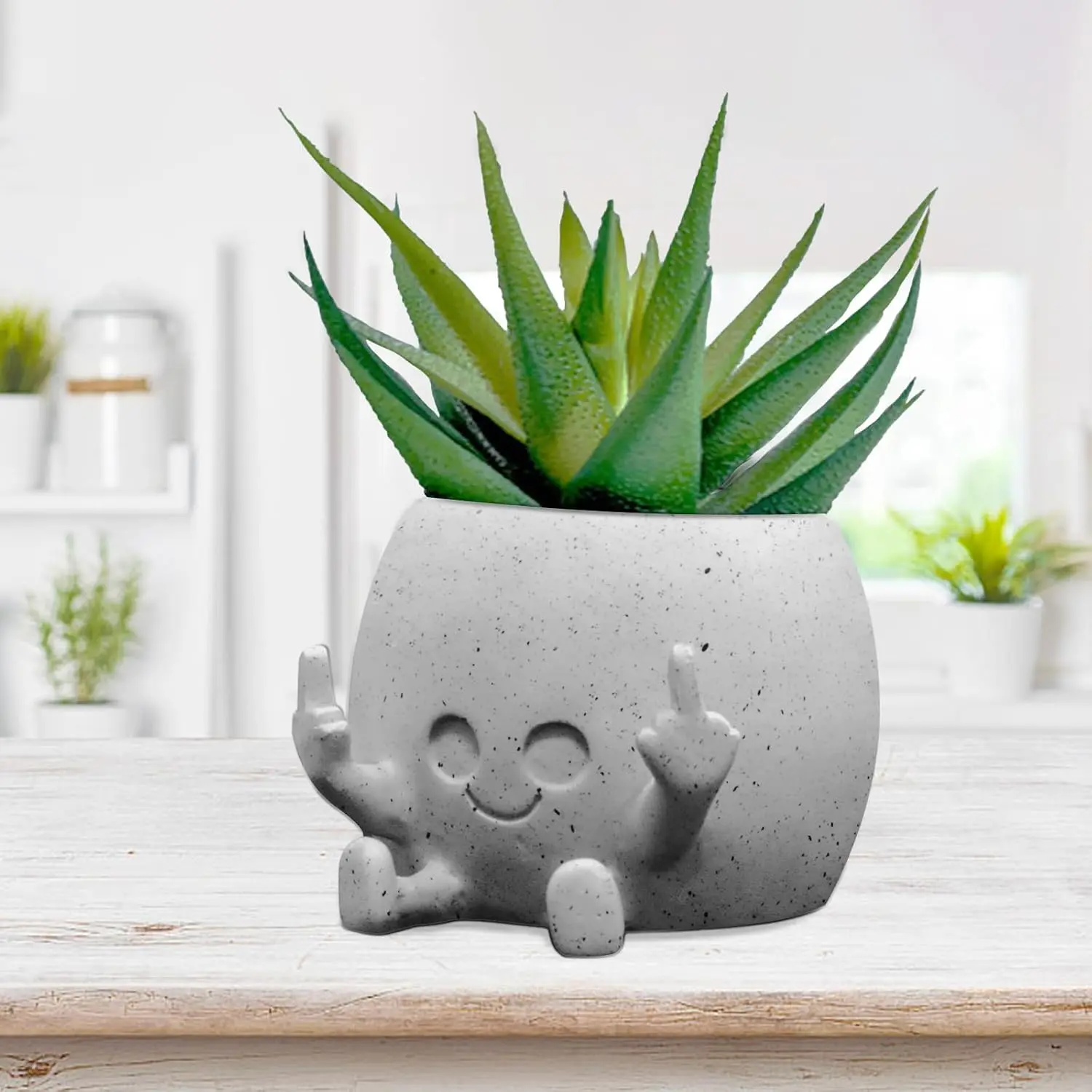 Smiling  Pot with Middle Fingers Up,  Planter Pot  Flower Planters for Indoor Outdoor  Succulent Pots for String of   Live  Ideas for Mother (White)