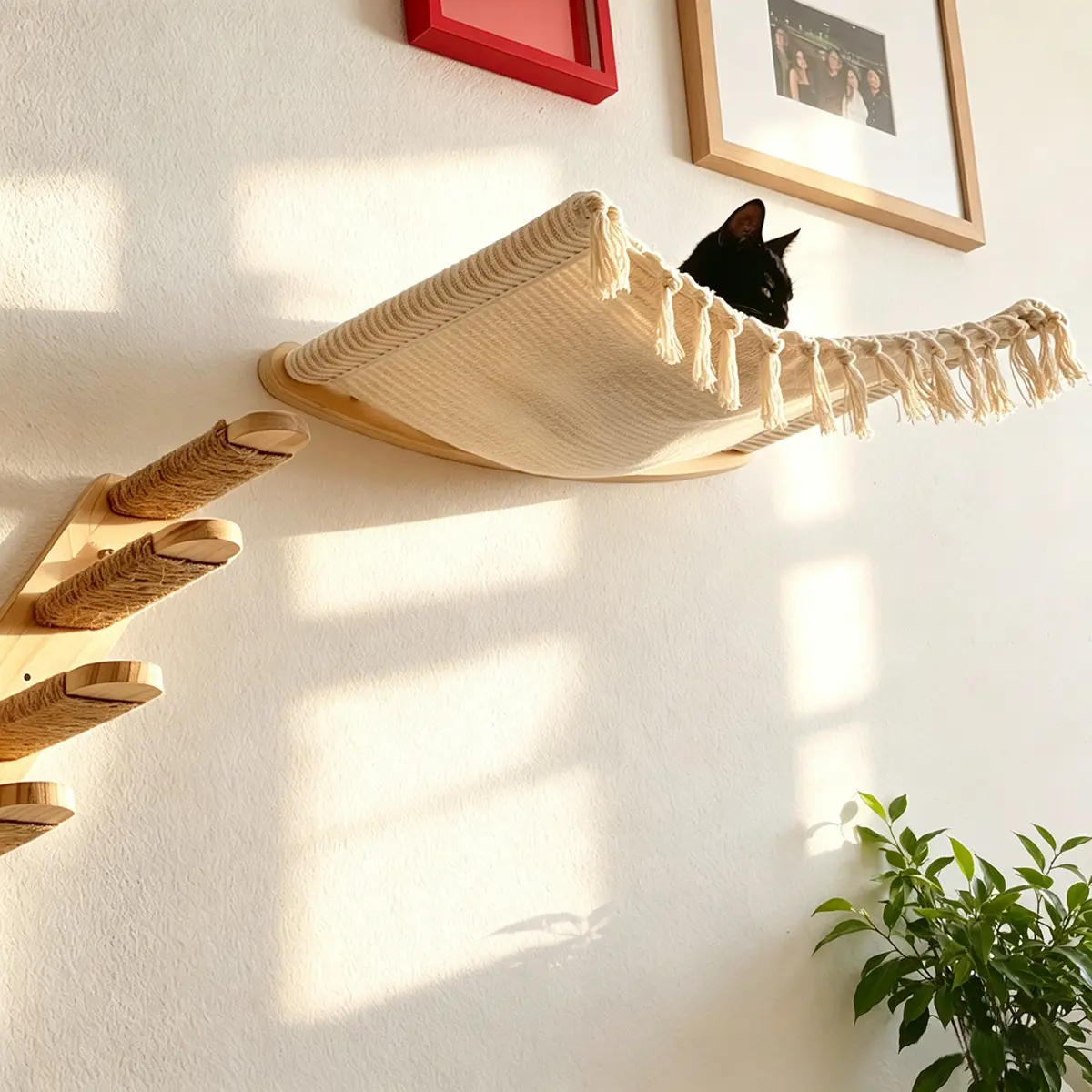 Wall-mounted cat tree, indoor cat play structure, wall-mounted cat hammock and climbing ladder for kittens and adult cats to play, sleep, and relax Modern indoor cat furniture Home