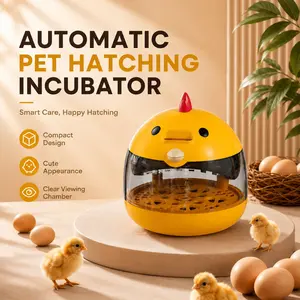 Mini Egg Incubator Set, Holds 5 Chicken Eggs or 10 Bird Eggs, 5V 2A Safe Voltage with Egg Candler, Cute Compact Hatcher for Home Use