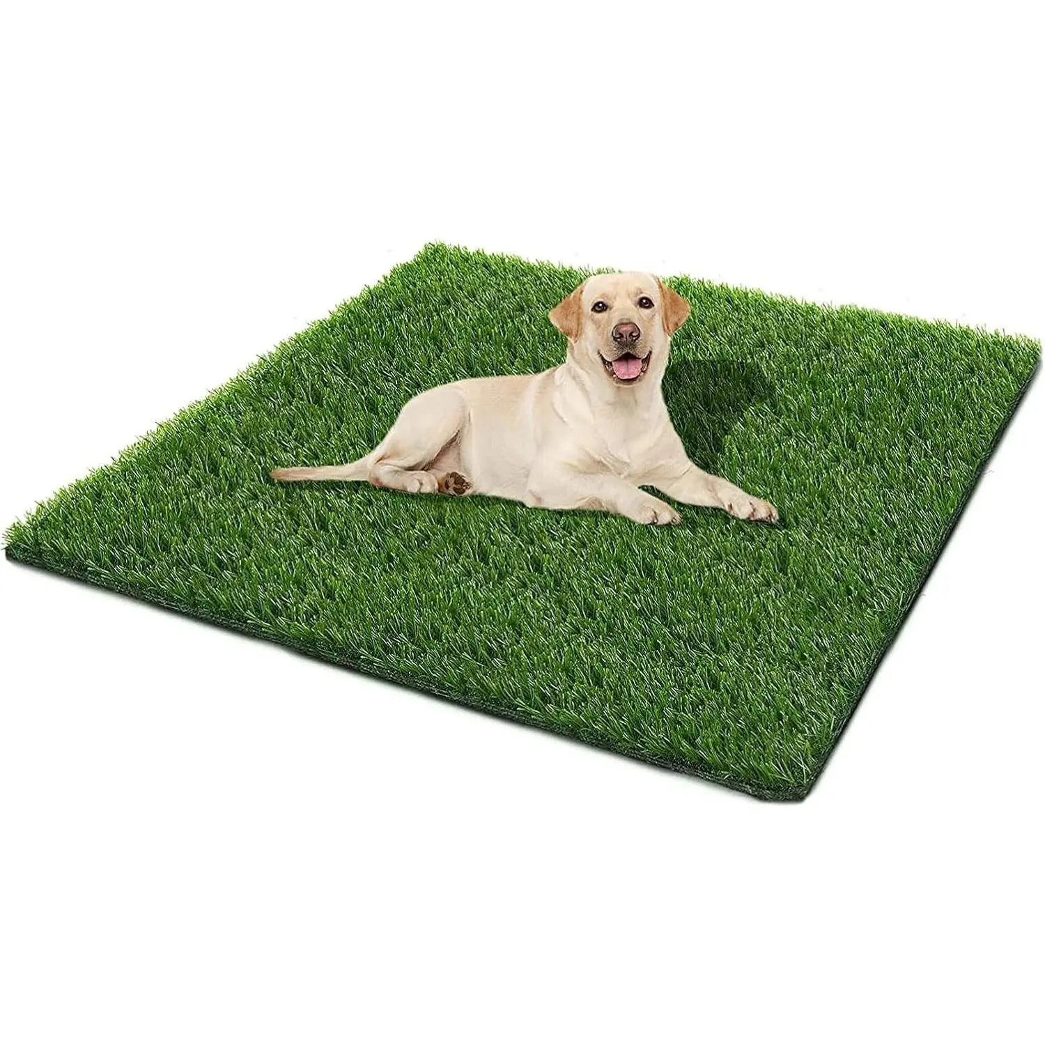 Dog Grass Mat, 51.2x31.5in Artificial Grass Puppy Pads for Potty Training, Indoor/Outdoor Use