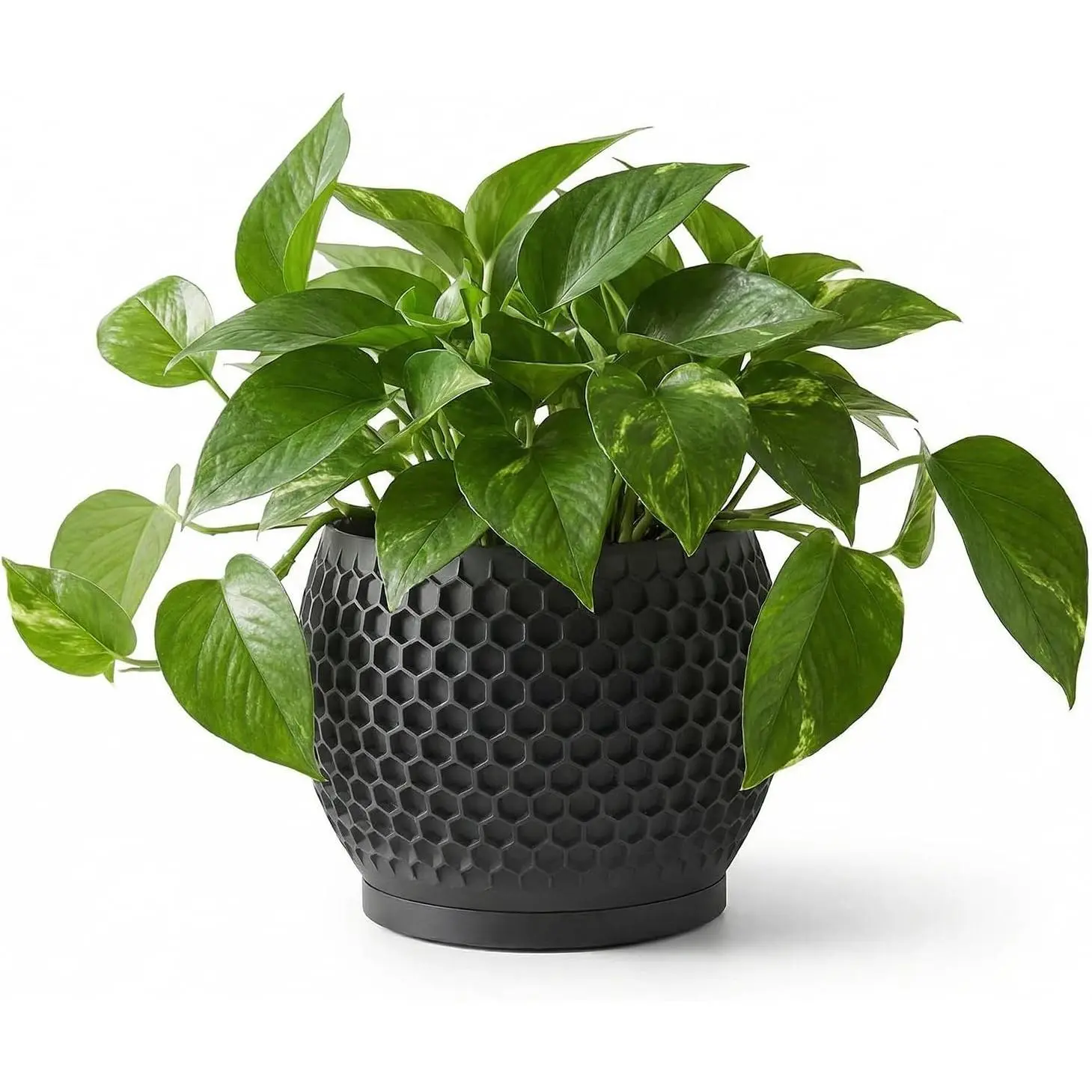 Pots, Modern  Printed  Planters for Indoor , 4.7 Inch Matte Black Decorative Flower Pot for Office Desktop, Bookshelf &  Decor, Lightweight & Durable.