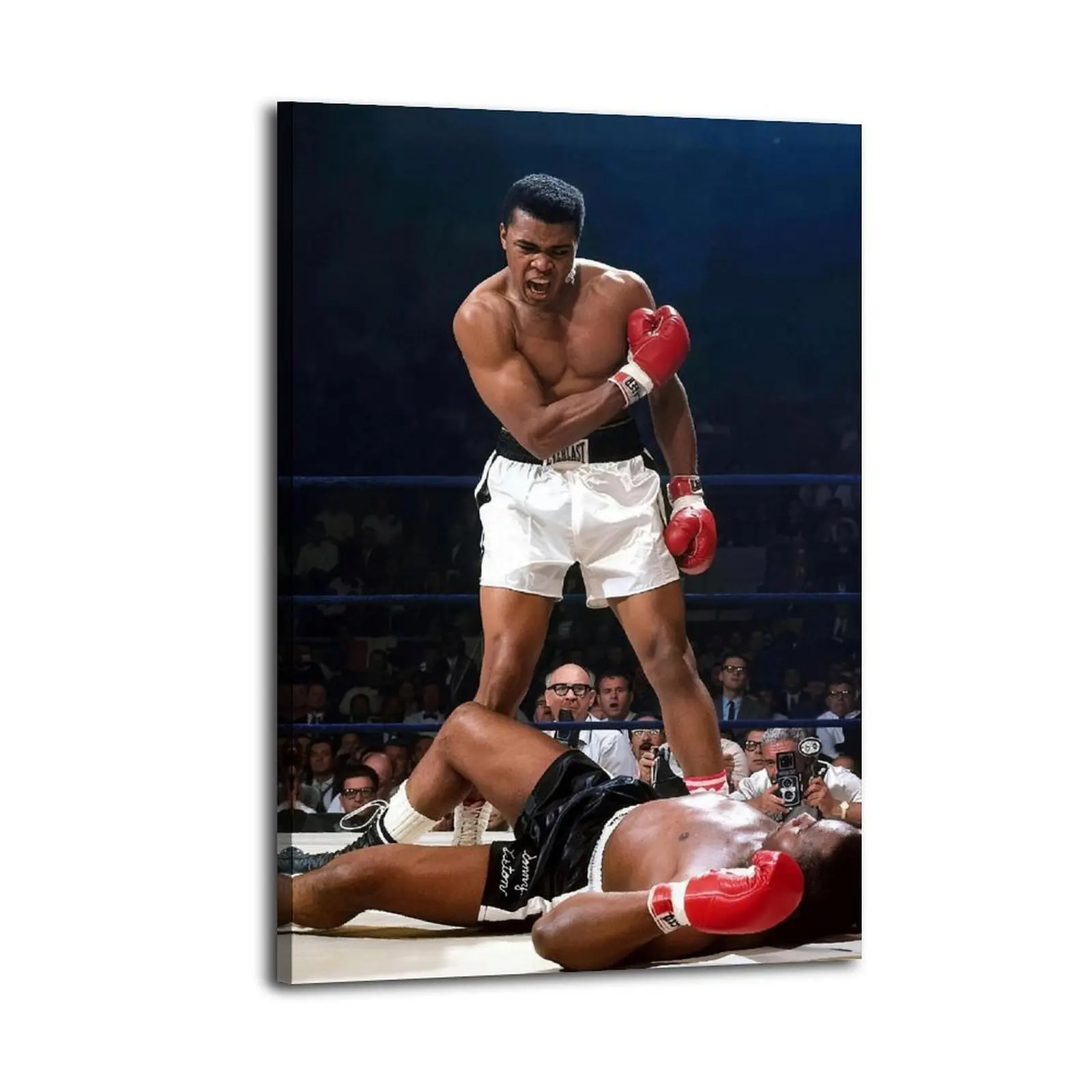 Muhammad Ali Knockout Canvas Painting| Bedroom Art | Bathroom Art | Trendy Wall Art | Funky Wall Art