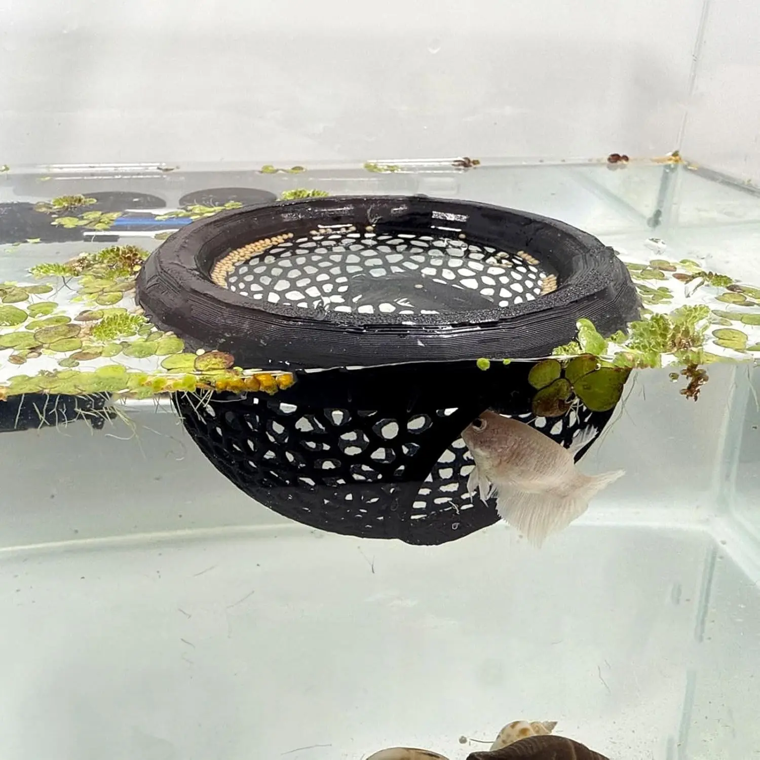 Floating Betta Fish Bed and Feeder Ring, Aquarium Decor, Fish Tank Decorations, Hideout, Cave, Resting Spot, Toy, Water Tank Accessory