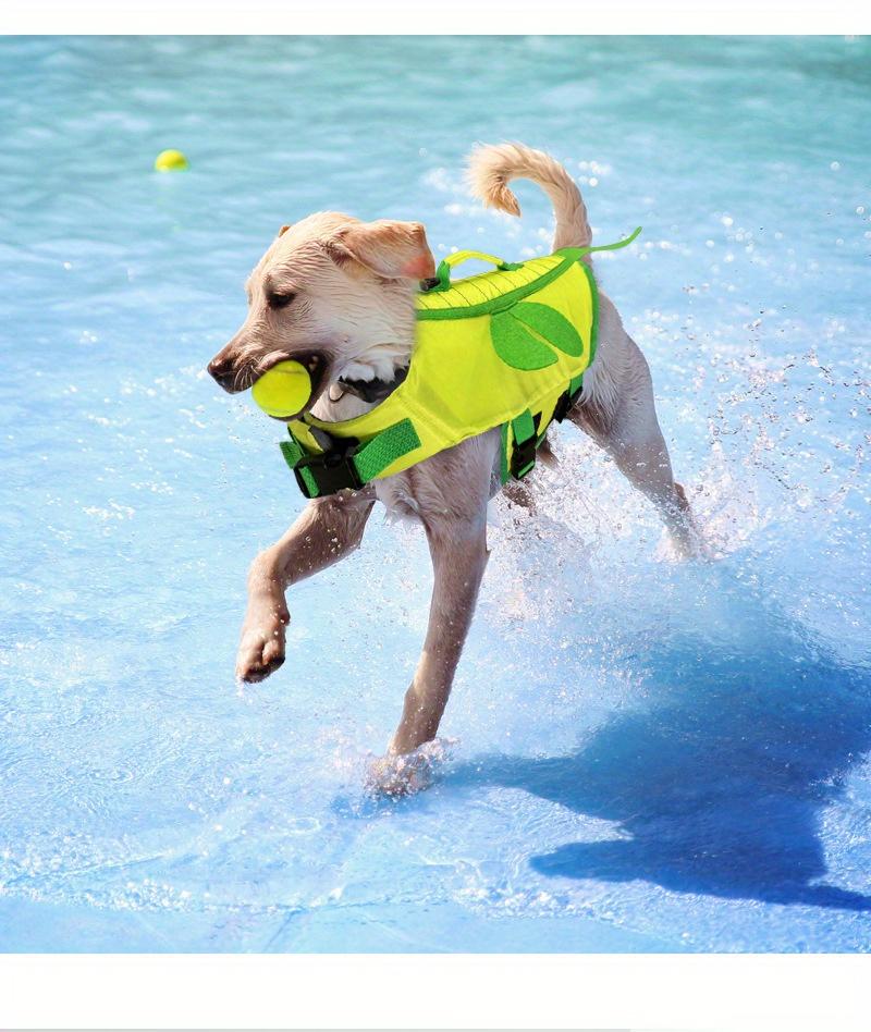 Summer Pet Life Jacket Adjustable Dog Swimsuit, Small And Medium-sized Dog Teddy Bear Buoyancy Swimsuit