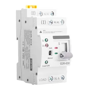 63Amp 110V AC Mini ATS Automatic/Manual Transfer Switch, 2Pole G2R Solar Auto Dual Power Changeover Switch for Home, Din Rail Mounted 50/60Hz CE Certified for Rv, Lv, Cn Public/Backup Power