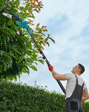 2 in 1 Cordless 8 inch Pole Saw, SeeSii Power Electric Polesaw for Tree Trimming with 2X4.0Ah batteries, Chain Saw with Extension Pole, Limb Branch Cutter Pruner CH800B #TikTokShopBlackFriday