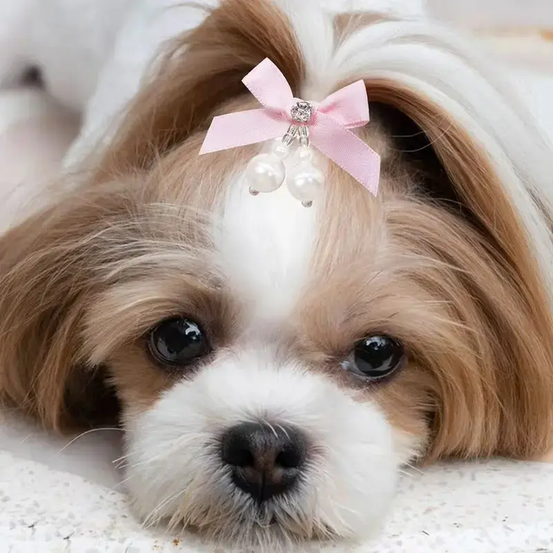 5/10PCS New Diamonds Puppy Pet Dog Bows With Rubber Bands Pearl Dog Hair Bows Pet Grooming Accessories For Dogs Bowknots
