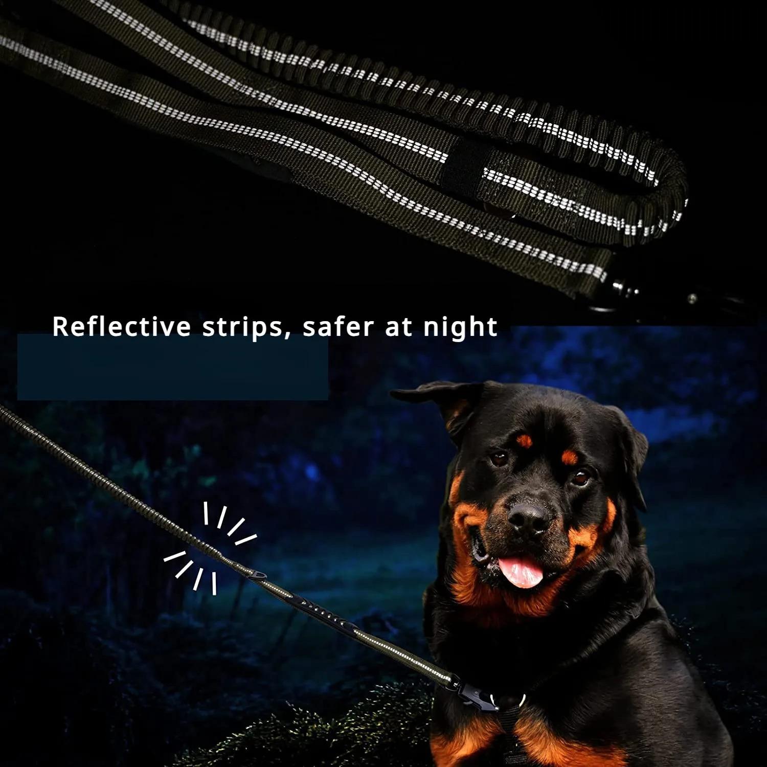 Bungee Dog Leash, No Tangle Leash, Heavy Duty Dog Leash with Shock Absorption, Comfortable Training Leash for Dogs#GLOBAL PICKS