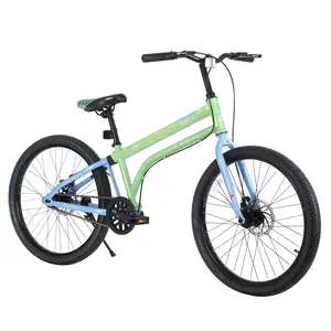 24 Inch Single Speed Kids Bike, Steel Frame with Dual Disc Brakes, Puncture Resistant Tires, 220LBS Load, Lightweight Bicycle for 10+ Years Old Teens 4'8"-5'2" Tall