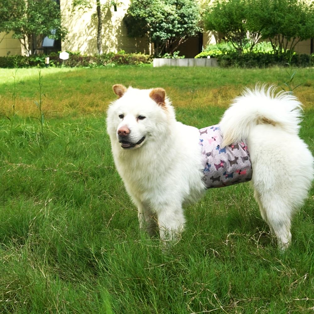 [Reusable Dog Diaper] 1pc Washable Male Dog Belly Bands Reusable Dog Diaper with High Absorbency Liner, Breathable Cloth Underwear for Potty Training