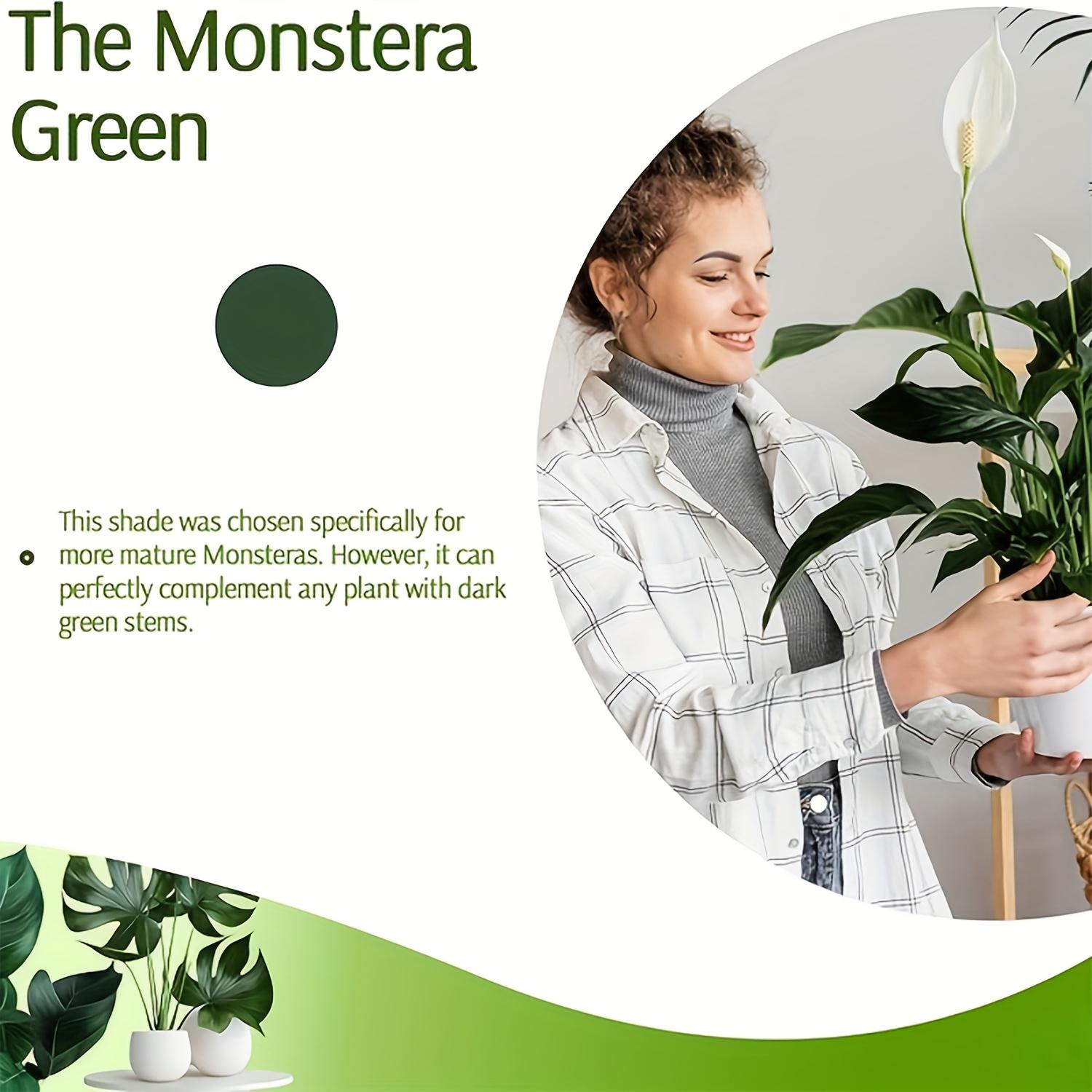 12pcs Stackable Plastic Plant Support Rings & Straps - Adjustable Fence Cages for Climbing Plants, Moss, Indoor/Outdoor Potted Plants - Durable Green Plant Stakes for Healthy Growth & Organization, Plant Stakes for Outdoor Plants, Climbing Plant Stakes, S