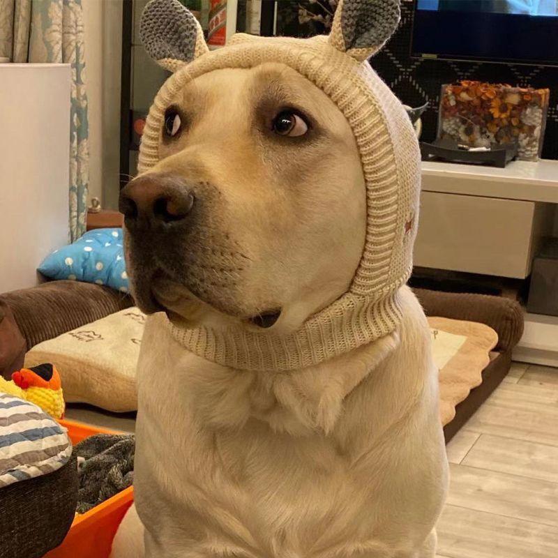 Pet hat winter medium and large dog Labrador golden retriever funny hood warm cute puppy hat cartoon