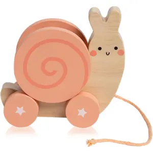 Montessori Snail Pull Toy, Pull Along Wooden Toy, Early Development Push and Pull String Toy, Motor Skill Toy for Toddlers Ages 1+ Yearfidget toys