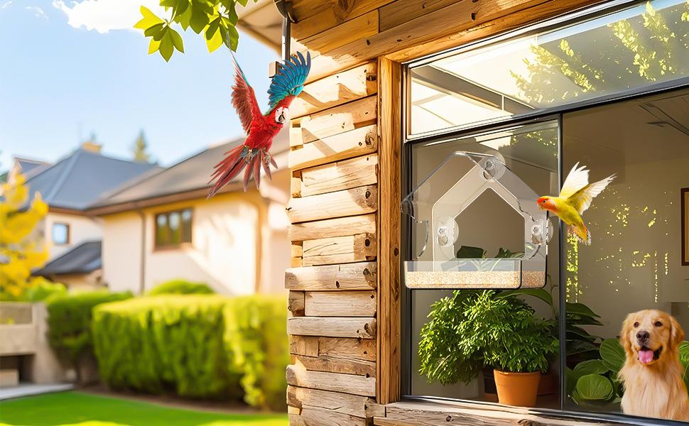 Acrylic Window Bird Feeder, Transparent Wall-Mounted Wild Bird Feeding Tray, Clear Strong Suction Cup Outdoor Feeder for Cardinals Finches Bluebirds, Weatherproof Seed Tray for Garden Patio