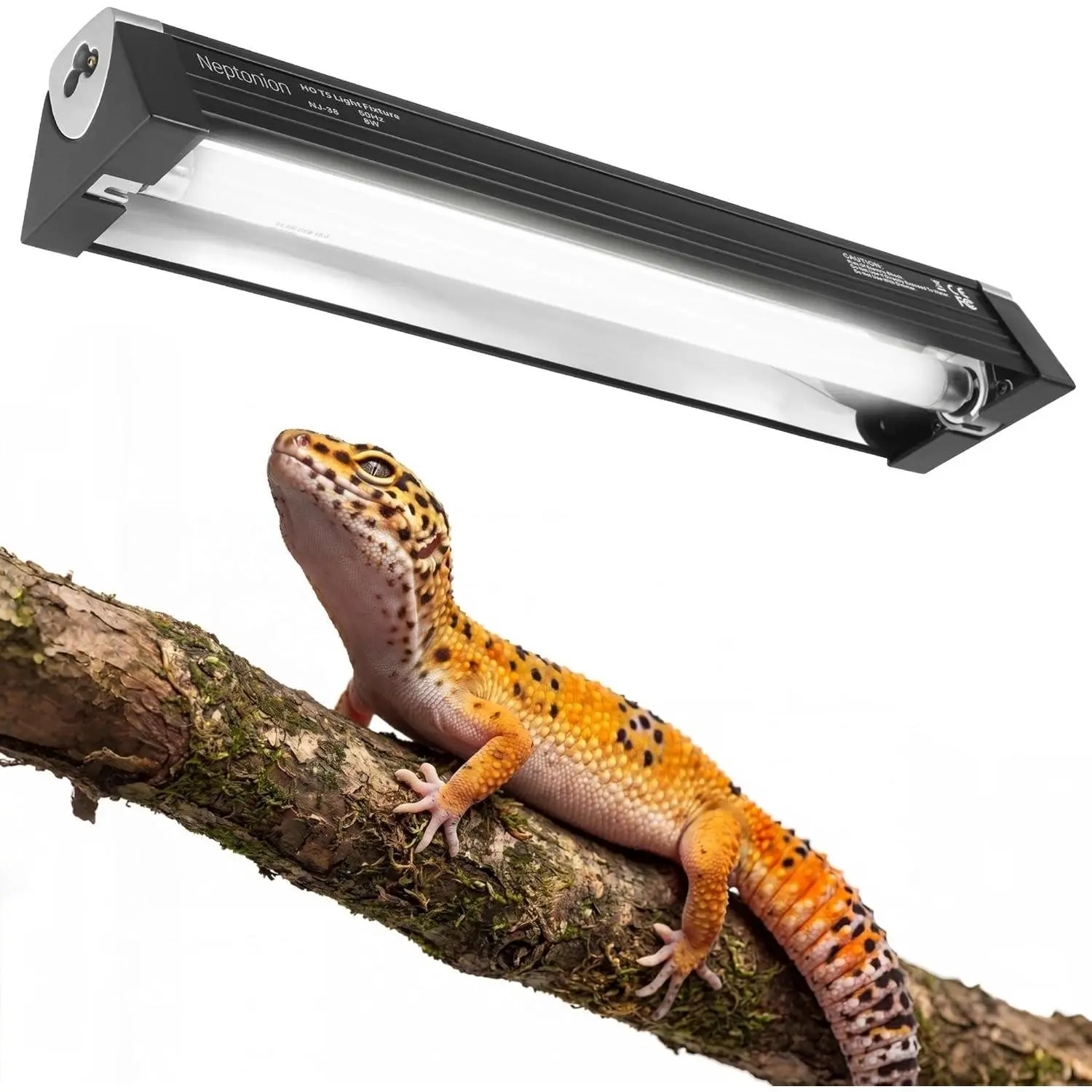 8W Reptile T5 HO UVB 12.5" 5.0 Light Fixture with Tube, Low-to-Moderate UVB Hood for Terrariums, Suitable for Arid Reptiles Like Leopard Gecko