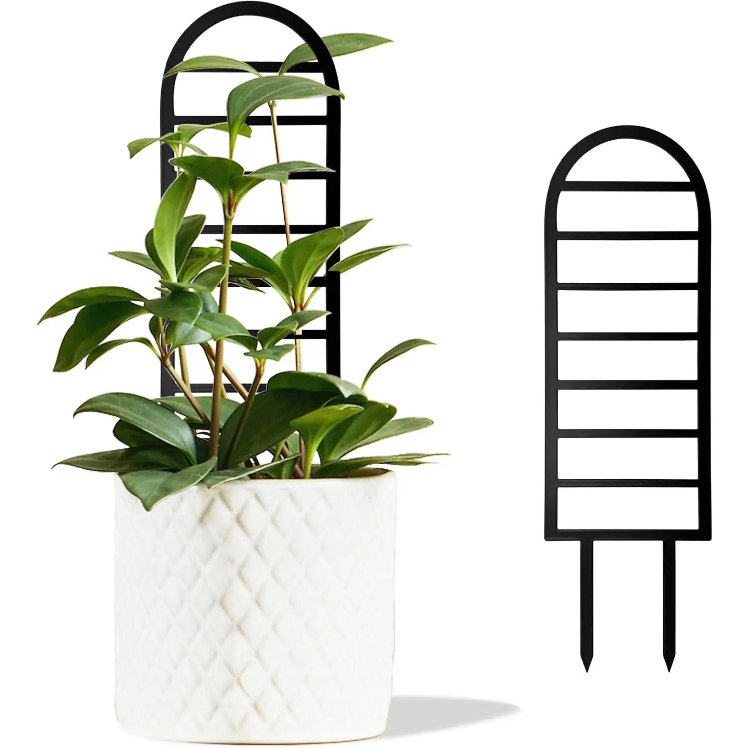 Metal Ladder Arch  Trellis,14.96 inch for Climbing  Indoor | Rustproof House  Support for Pothos Hoya Ivy Flower