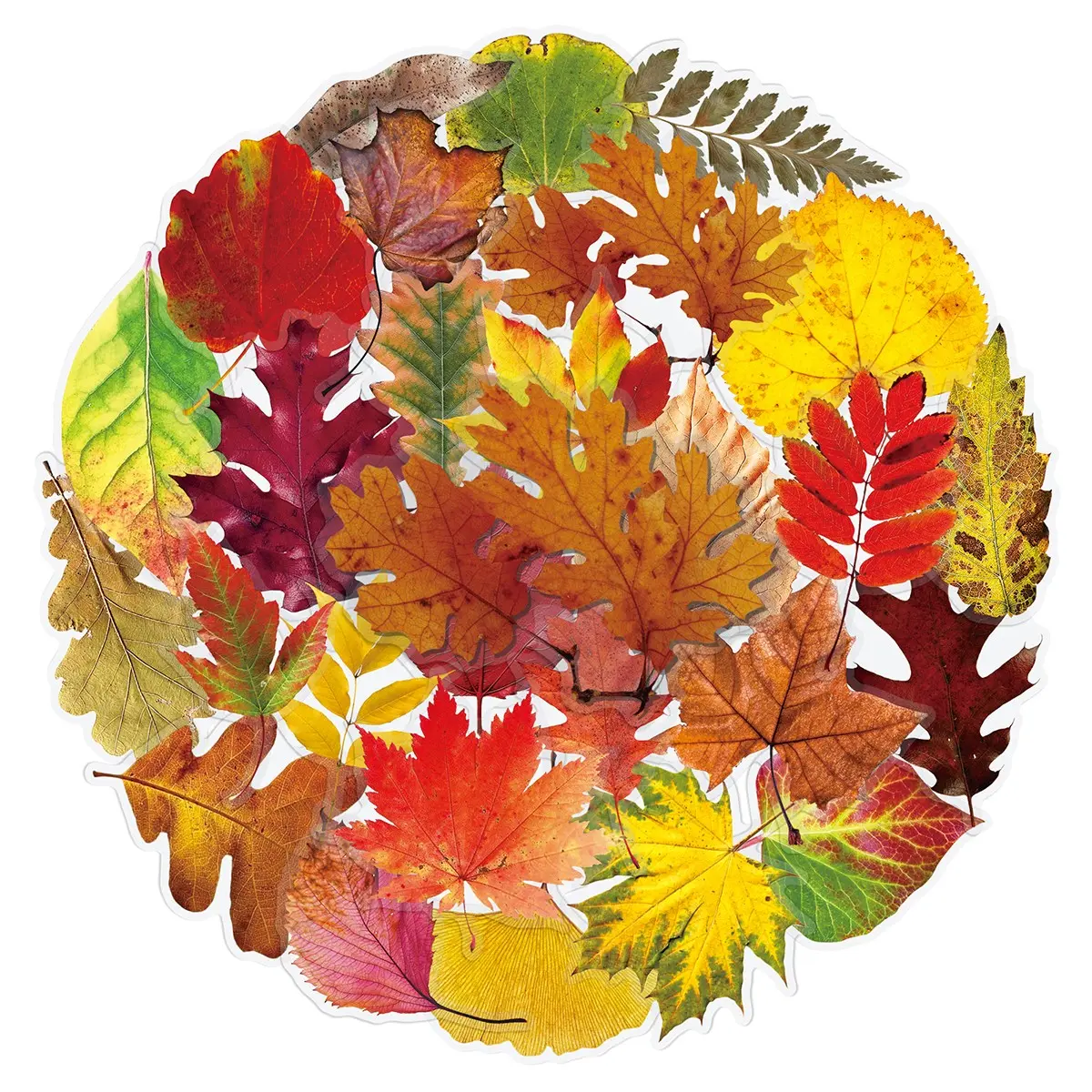 100sheets two sets of repetition deciduous leaves cartoon transparent stickers luggage refrigerator glass creative decorative stickers