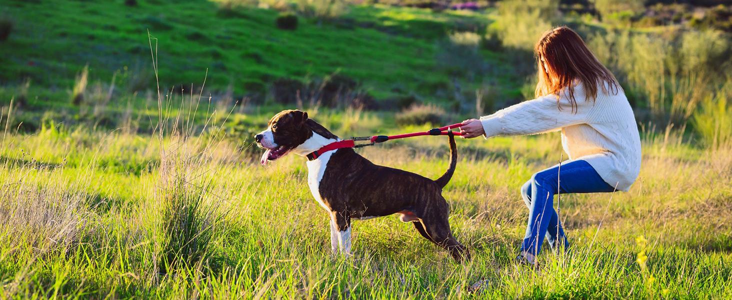 Carabiner Multitool 8-in-1 EDC With Pocket Knife, Serrated Knife, Rope Cutter, Screwdriver, Can Bottle Opener, Ruler, Survival Gear For Camping Climbing Hiking, Gifts For Men (Black)