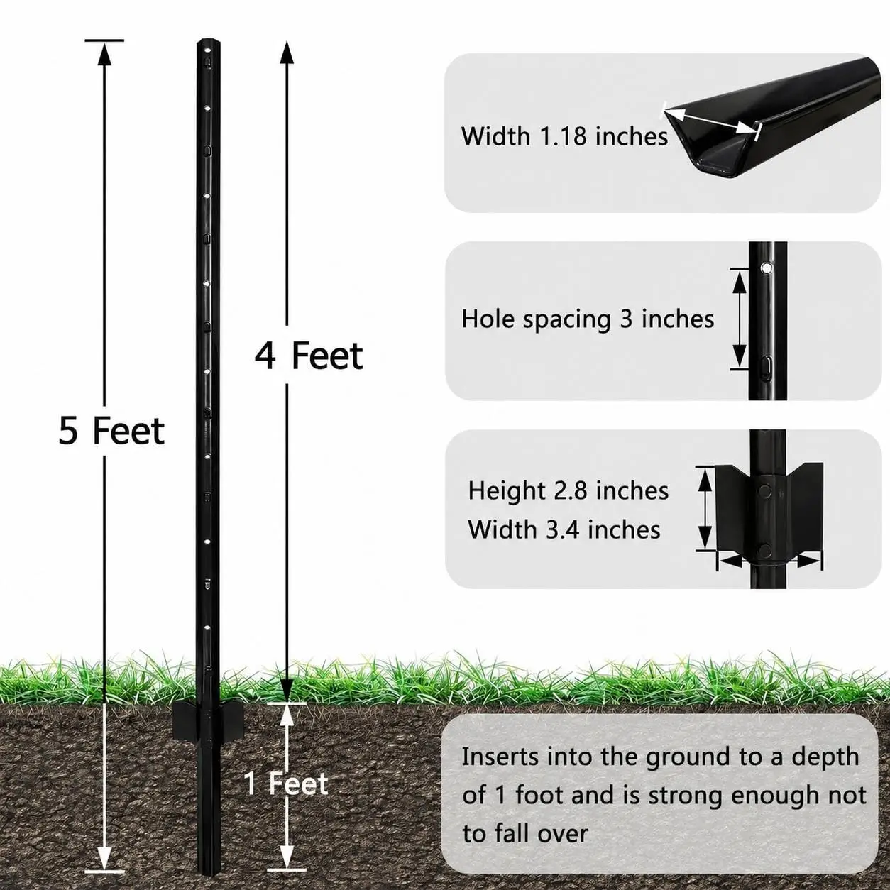 Black-5 FT