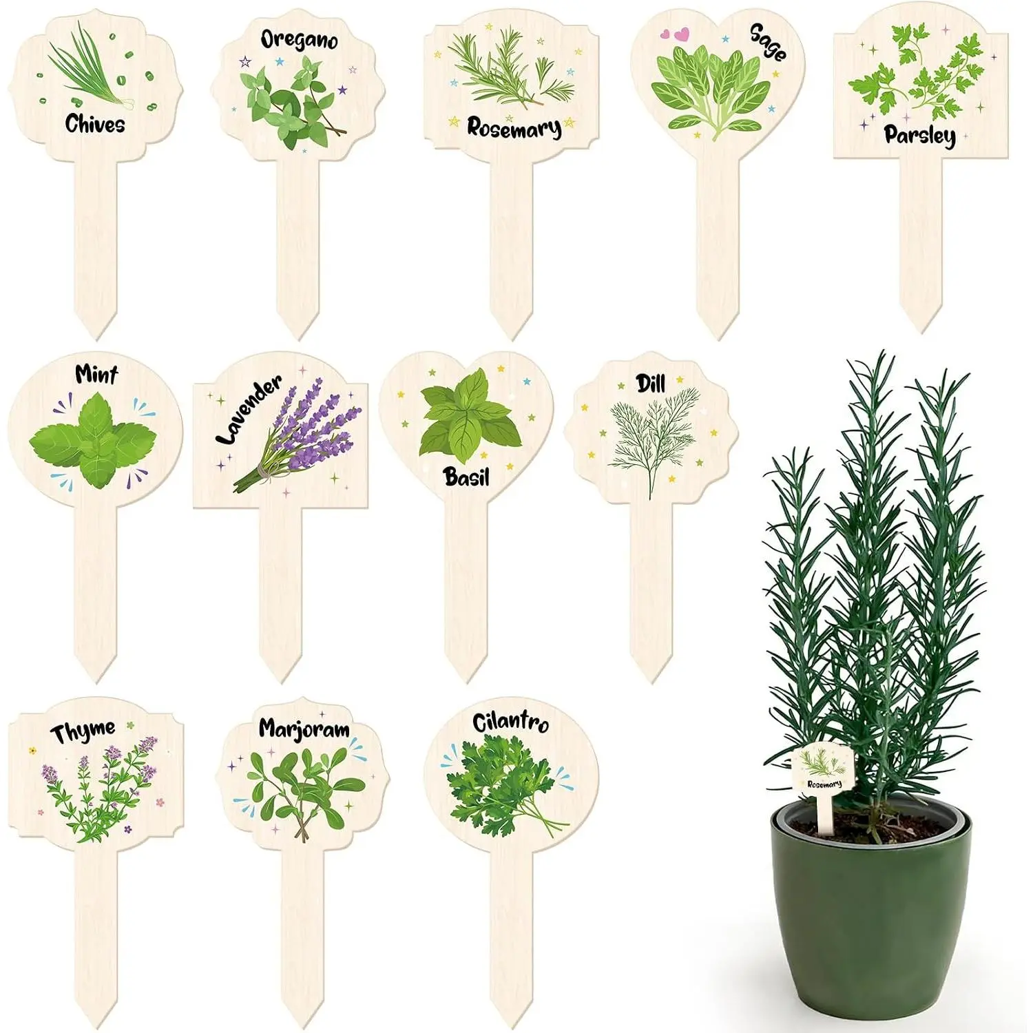 5.1" x 2.6" Garden Markers (24-Count Bulk Package) - Pre-Printed Names, Scalloped Ends, Label Tags for Indoor/Outdoor Garden Decor, Home Improvement Supplies, Both Indoor/Outdoor, Label Signs