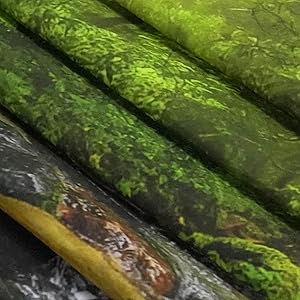 Green Rainforest Tapestry Nature Forest Tapestry for Bedroom Aesthetic Misty Tropical Jungle Trees Flowing Stream Landscape Tapestries Wall Hanging for Living Room Dorm 48 x 36 Inch